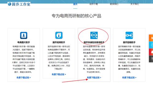 教你批量查詢快遞物流信息，一眼發現異常件——信息技術咨詢服務指南
